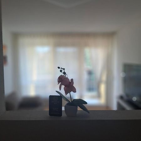 Ferienwohnung Shirin Rust Exteriör bild